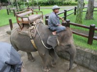 IMG 4105  Elephant Park at Taro