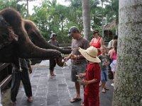 IMG 4117  Elephant Park at Taro