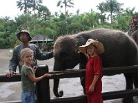 IMG 4124  Elephant Park at Taro