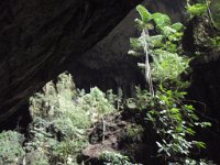 P3180366  Trip to Mulu Caves