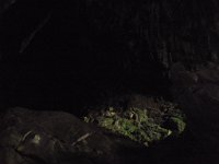 P3180367  Trip to Mulu Caves