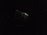 P3180380  Trip to Mulu Caves
