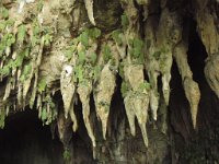 P3190432  Trip to Mulu Caves