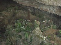 P3190445  Trip to Mulu Caves