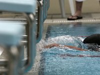 IMG 5320  Stringrays Swim Meet