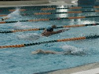 IMG 5321  Stringrays Swim Meet