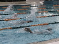 IMG 5322  Stringrays Swim Meet