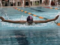 IMG 5323  Stringrays Swim Meet