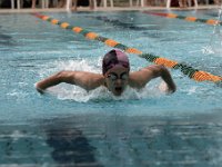 IMG 5324  Stringrays Swim Meet