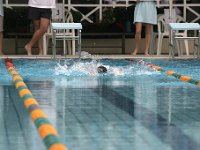 IMG 5344  Stringrays Swim Meet