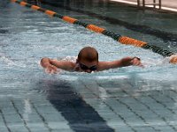 IMG 5347  Stringrays Swim Meet