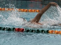 IMG 5351  Stringrays Swim Meet