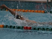 IMG 5352  Stringrays Swim Meet