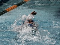 IMG 5361  Stringrays Swim Meet