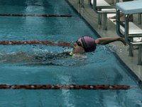 IMG 5363  Stringrays Swim Meet