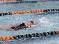 IMG 5365  Stringrays Swim Meet