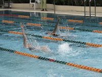 IMG 5383  Stringrays Swim Meet