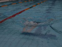 IMG 5397  Stringrays Swim Meet