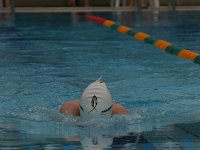 IMG 5433  Stringrays Swim Meet