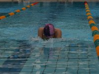 IMG 5439  Stringrays Swim Meet