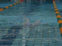 IMG 5440  Stringrays Swim Meet