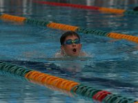 IMG 5459  Stringrays Swim Meet