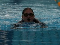 IMG 5466  Stringrays Swim Meet