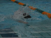 IMG 5469  Stringrays Swim Meet