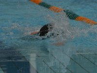 IMG 5471  Stringrays Swim Meet