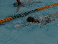 IMG 5479  Stringrays Swim Meet