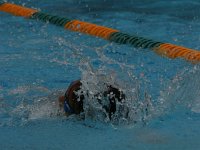 IMG 5485  Stringrays Swim Meet