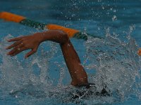 IMG 5486  Stringrays Swim Meet