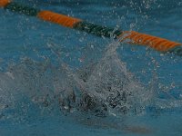 IMG 5487  Stringrays Swim Meet