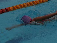 IMG 5488  Stringrays Swim Meet