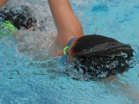 IMG 5489  Stringrays Swim Meet