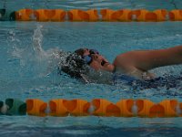 IMG 5494  Stringrays Swim Meet