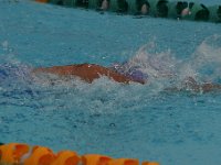 IMG 5497  Stringrays Swim Meet