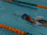 IMG 5500  Stringrays Swim Meet