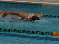 IMG 5505  Stringrays Swim Meet