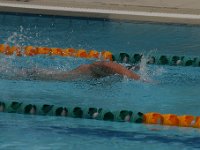 IMG 5506  Stringrays Swim Meet