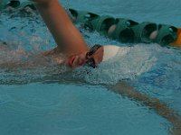 IMG 5511  Stringrays Swim Meet