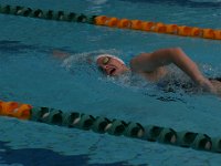 IMG 5525  Stringrays Swim Meet