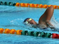 IMG 5535a  Stringrays Swim Meet