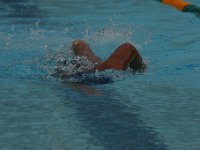 IMG 5537  Stringrays Swim Meet