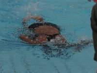 IMG 5538  Stringrays Swim Meet