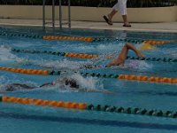 IMG 5542  Stringrays Swim Meet