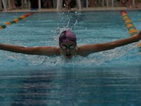 IMG 5553  Stringrays Swim Meet