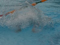 IMG 5558  Stringrays Swim Meet