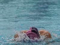 IMG 5564  Stringrays Swim Meet