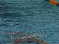 IMG 5567  Stringrays Swim Meet